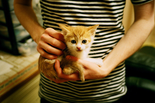 开云体育-格列兹曼的魔法盘带，一场由大师指尖操控的南美足球风暴